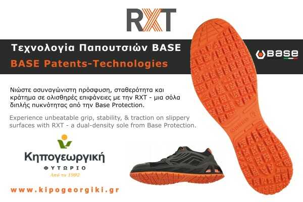RXT